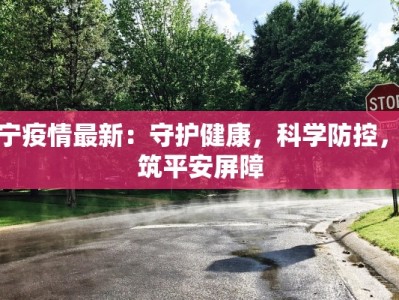 新宁疫情最新：守护健康，科学防控，共筑平安屏障