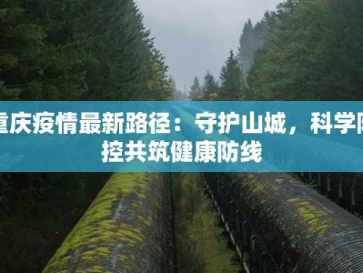 重庆疫情最新路径：守护山城，科学防控共筑健康防线