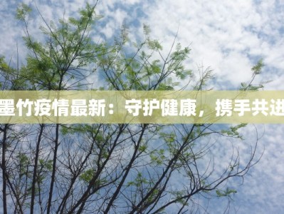 墨竹疫情最新：守护健康，携手共进