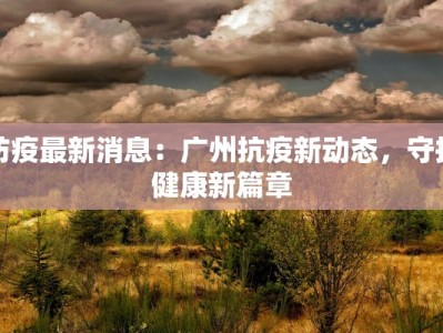防疫最新消息：广州抗疫新动态，守护健康新篇章