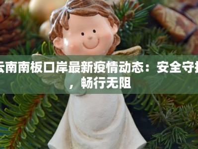 云南南板口岸最新疫情动态：安全守护，畅行无阻