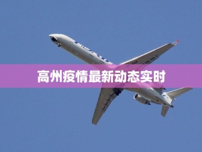 高州疫情最新动态实时
