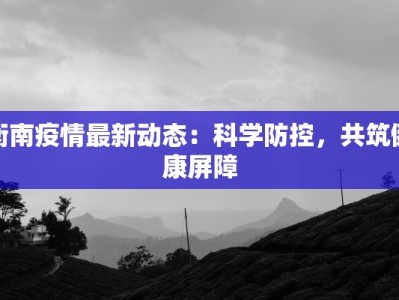 衡南疫情最新动态：科学防控，共筑健康屏障