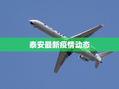 瑞丽疫情最新通知