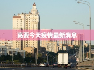 高要今天疫情最新消息