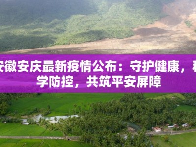 安徽安庆最新疫情公布：守护健康，科学防控，共筑平安屏障