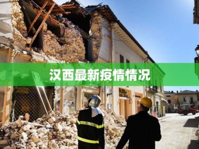 汉西最新疫情情况