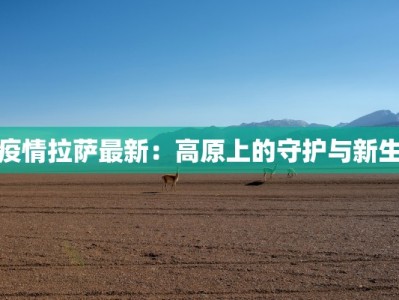 疫情拉萨最新：高原上的守护与新生
