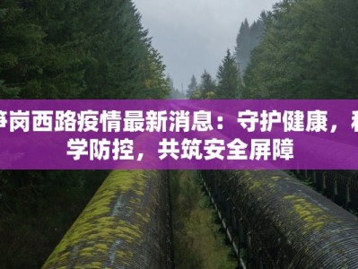 疫情最新消息云南昆明：守护春城，健康前行
