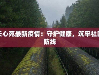 天心苑最新疫情：守护健康，筑牢社区防线