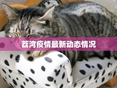 荔湾疫情最新动态情况