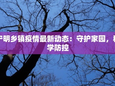 宁明乡镇疫情最新动态：守护家园，科学防控