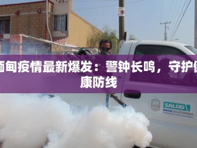 缅甸疫情最新爆发：警钟长鸣，守护健康防线