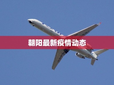 朝阳最新疫情动态