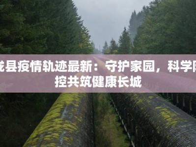 北京日报丰台疫情最新：守护家园，科学防控，共克时艰