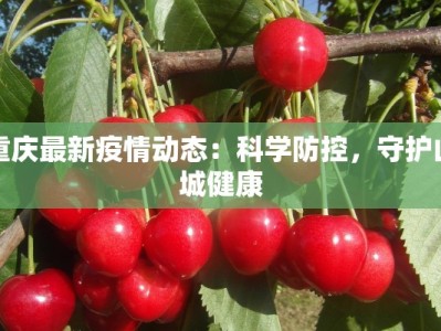 重庆最新疫情动态：科学防控，守护山城健康