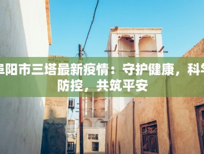 阜阳市三塔最新疫情：守护健康，科学防控，共筑平安