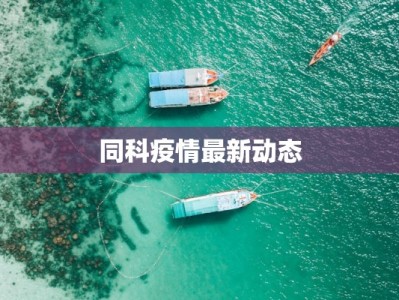 同科疫情最新动态