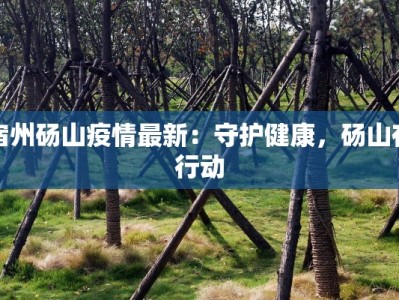 宿州砀山疫情最新：守护健康，砀山在行动