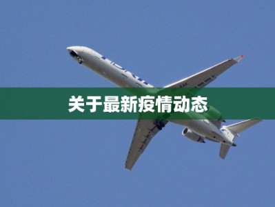 关于最新疫情动态