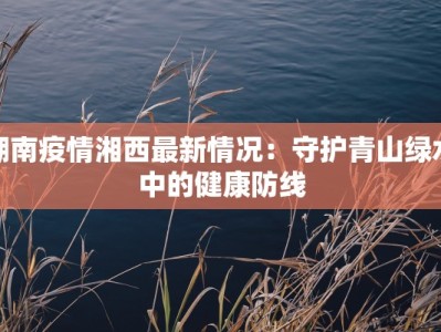 湖南疫情湘西最新情况：守护青山绿水中的健康防线