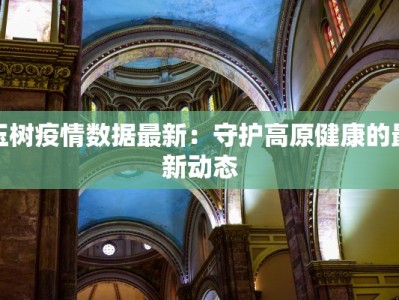 玉树疫情数据最新：守护高原健康的最新动态