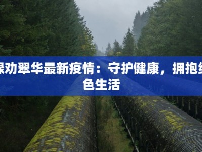 禄劝翠华最新疫情：守护健康，拥抱绿色生活