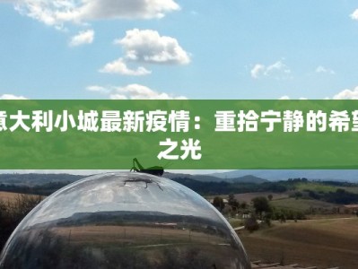 意大利小城最新疫情：重拾宁静的希望之光