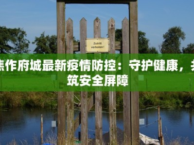 焦作府城最新疫情防控：守护健康，共筑安全屏障