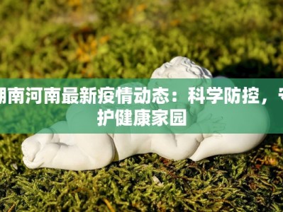 湖南河南最新疫情动态：科学防控，守护健康家园