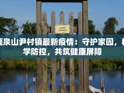 鹿泉山尹村镇最新疫情：守护家园，科学防控，共筑健康屏障