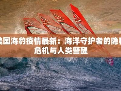 美国海豹疫情最新：海洋守护者的隐秘危机与人类警醒