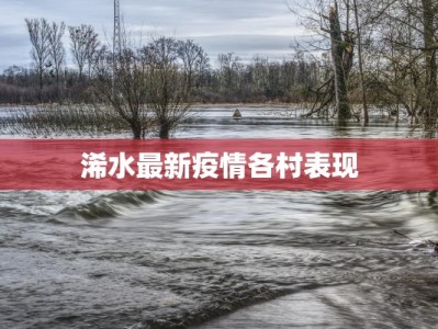 浠水最新疫情各村表现