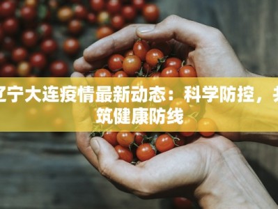 辽宁大连疫情最新动态：科学防控，共筑健康防线