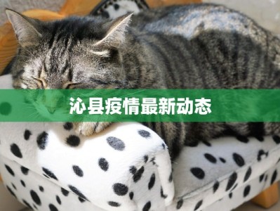 沁县疫情最新动态