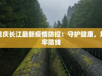 重庆长江最新疫情防控：守护健康，筑牢防线