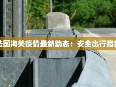 法国海关疫情最新动态：安全出行指南