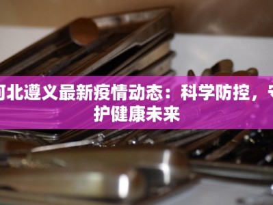 河北遵义最新疫情动态：科学防控，守护健康未来