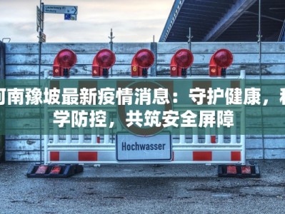 河南豫坡最新疫情消息：守护健康，科学防控，共筑安全屏障