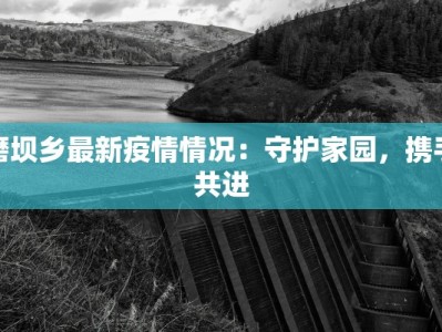 磨坝乡最新疫情情况：守护家园，携手共进