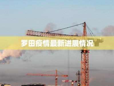 罗田疫情最新进展情况