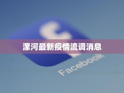 漯河最新疫情流调消息