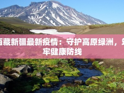 西藏新疆最新疫情：守护高原绿洲，筑牢健康防线