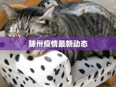 滕卅疫情最新动态