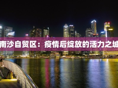 南沙自贸区：疫情后绽放的活力之城