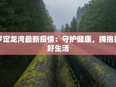 罗定龙湾最新疫情：守护健康，拥抱美好生活