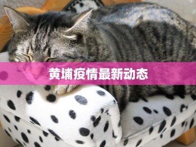 黄埔疫情最新动态