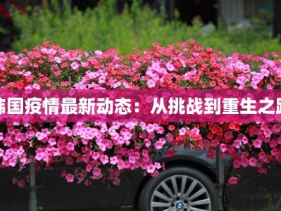 韩国疫情最新动态：从挑战到重生之路