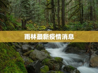 雨林最新疫情消息