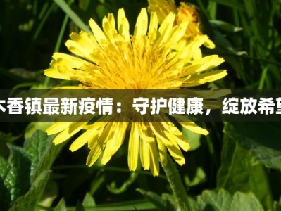 木香镇最新疫情：守护健康，绽放希望